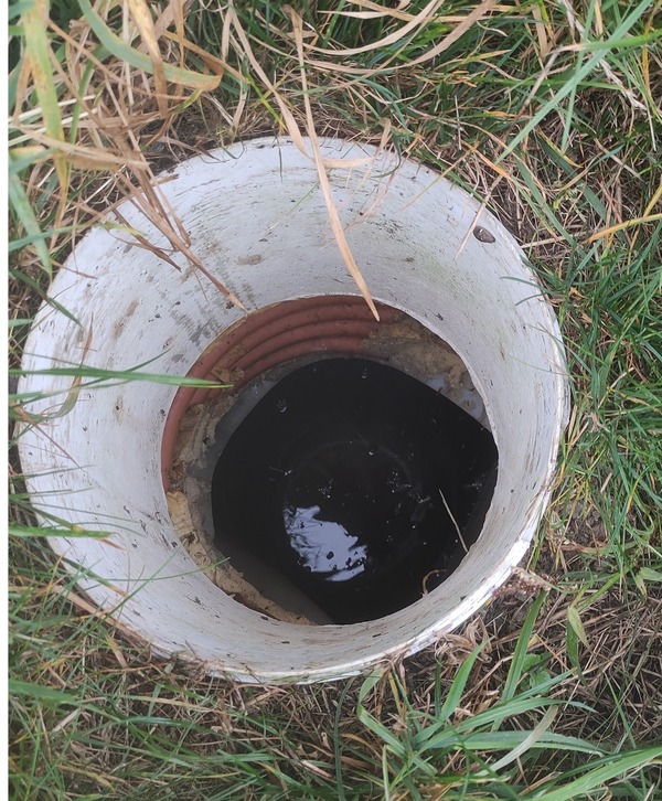 Betonowa rura osadzona w ziemi, wypełniona ciemną, stojącą wodą i otoczona zieloną trawą i suchymi, brązowymi źdźbłami.